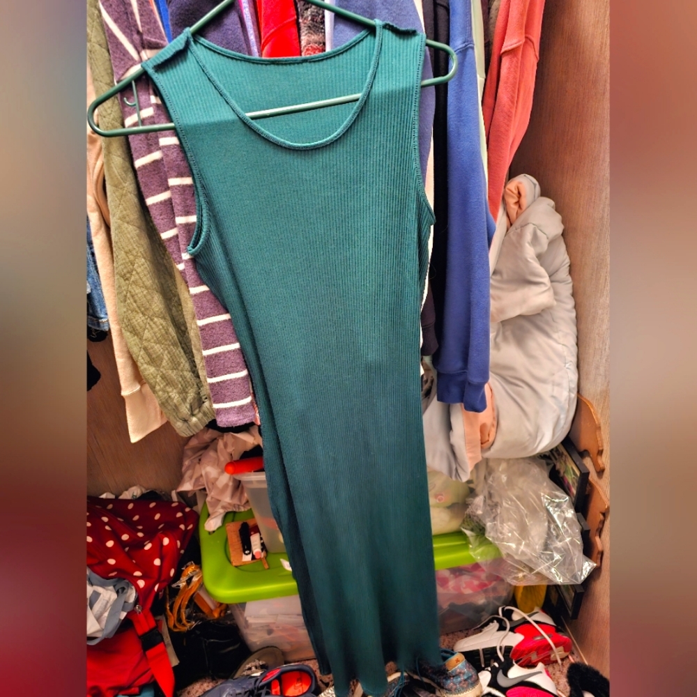 Size M Sugarlips fitted dress, color green.
